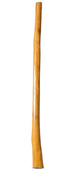 Gloss Finish Didgeridoo (TW1310)